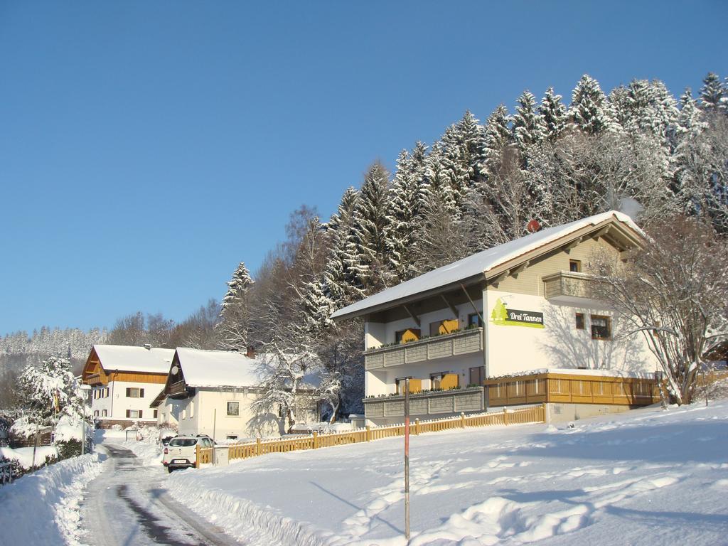 Drei Tannen Hotel Bodenmais Exterior photo